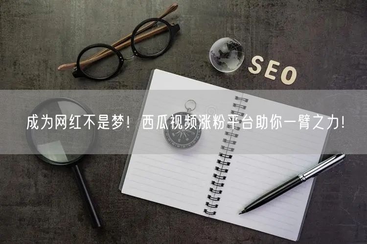 成为网红不是梦！西瓜视频涨粉平台助你一臂之力！