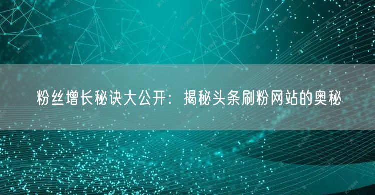 粉丝增长秘诀大公开：揭秘头条刷粉网站的奥秘