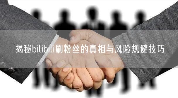 揭秘bilibili刷粉丝的真相与风险规避技巧