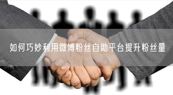 如何巧妙利用微博粉丝自助平台提升粉丝量
