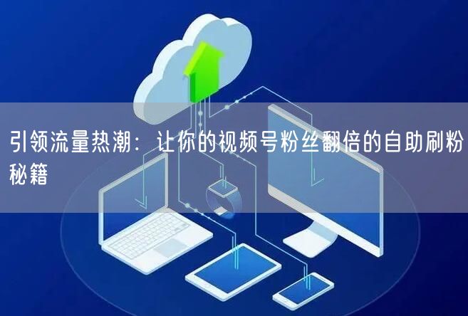引领流量热潮：让你的视频号粉丝翻倍的自助刷粉秘籍