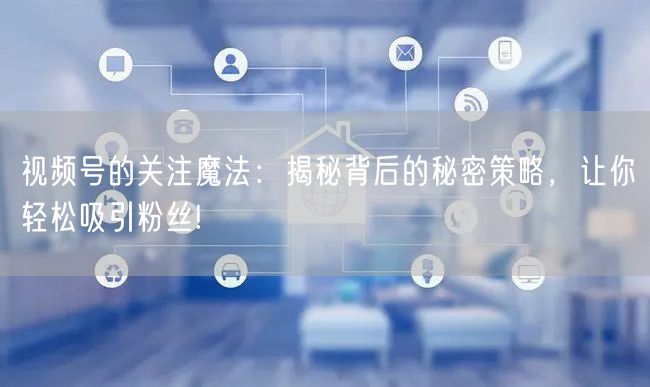 视频号的关注魔法：揭秘背后的秘密策略，让你轻松吸引粉丝!