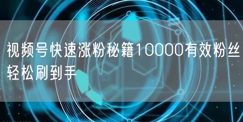视频号快速涨粉秘籍10000有效粉丝轻松刷到手