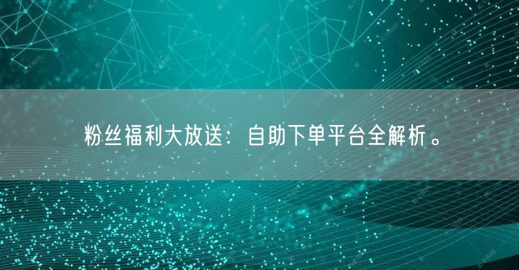 粉丝福利大放送：自助下单平台全解析。