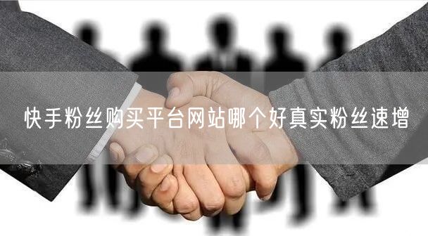 快手粉丝购买平台网站哪个好真实粉丝速增